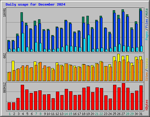 Daily usage for December 2024