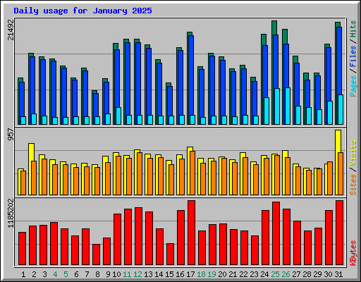 Daily usage for January 2025