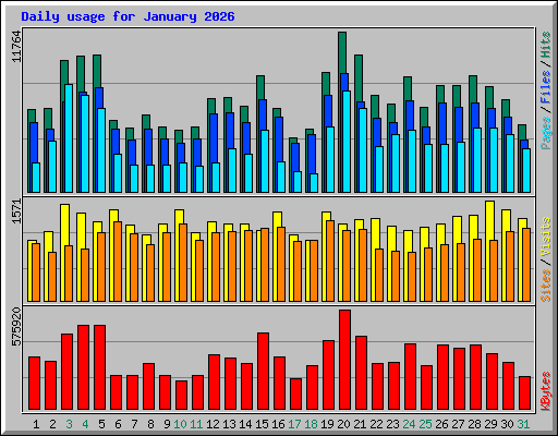 Daily usage for January 2026