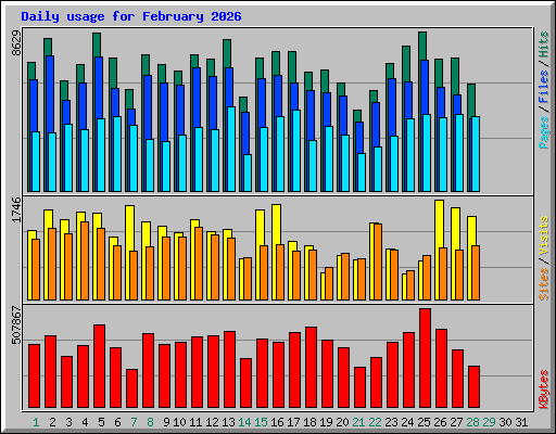 Daily usage for February 2026