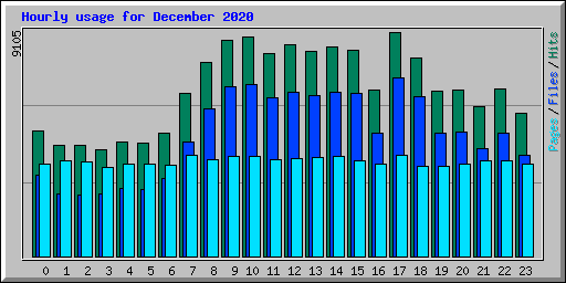 Hourly usage for December 2020