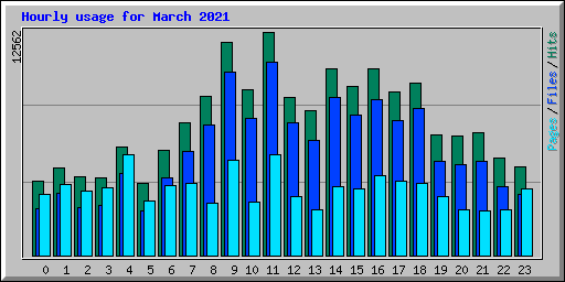 Hourly usage for March 2021