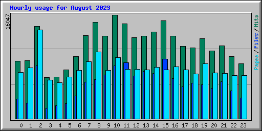 Hourly usage for August 2023