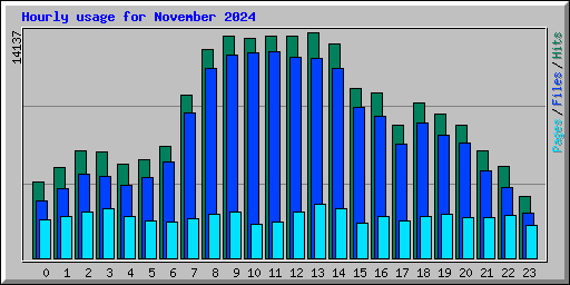 Hourly usage for November 2024