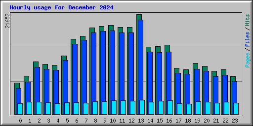 Hourly usage for December 2024