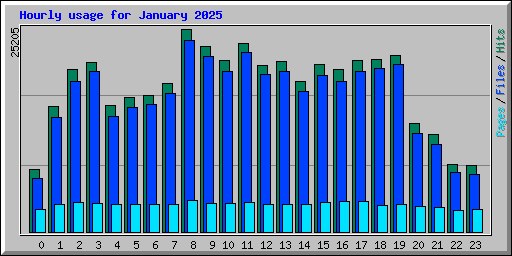 Hourly usage for January 2025