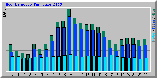 Hourly usage for July 2025