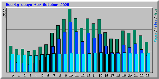 Hourly usage for October 2025