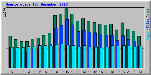 Hourly usage for December 2025