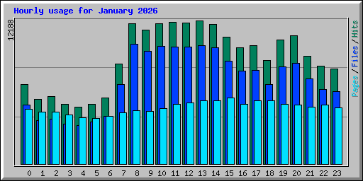 Hourly usage for January 2026