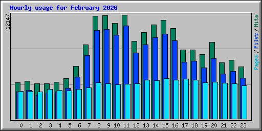 Hourly usage for February 2026