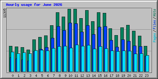Hourly usage for June 2026