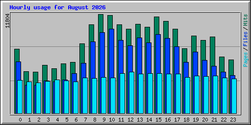 Hourly usage for August 2026